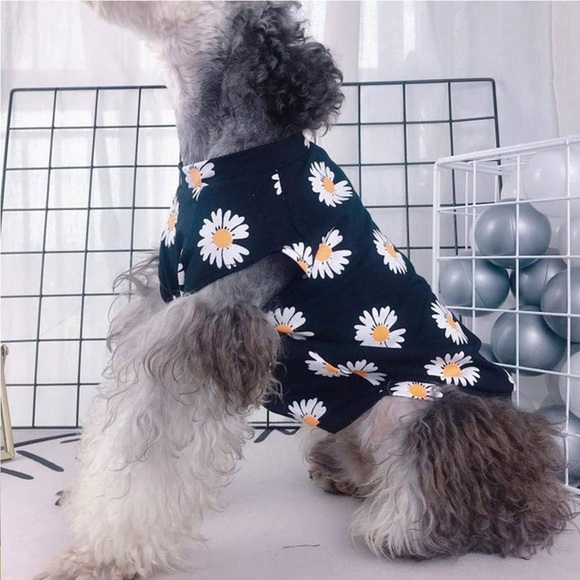WEYATO daisy dog/cat shirt..(NWT)black - Picture 4 of 7